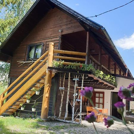 Pensiunea Padina Bran  Zewnętrze zdjęcie
