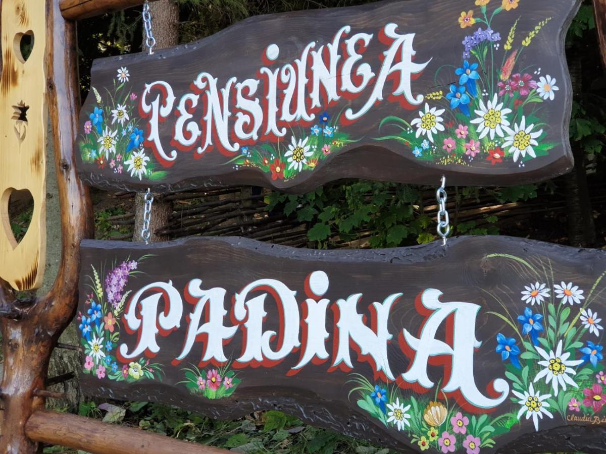 Pensiunea Padina Bran  Zewnętrze zdjęcie
