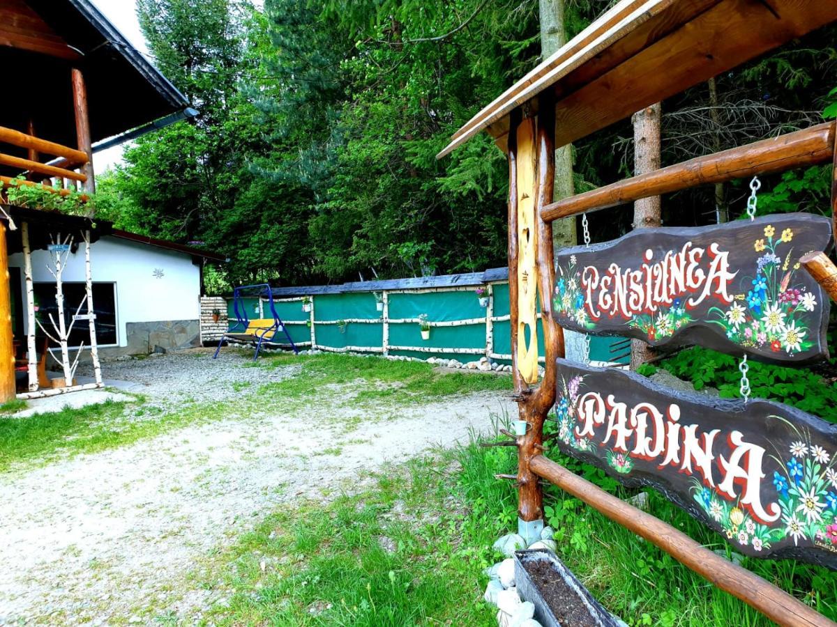 Pensiunea Padina Bran  Zewnętrze zdjęcie