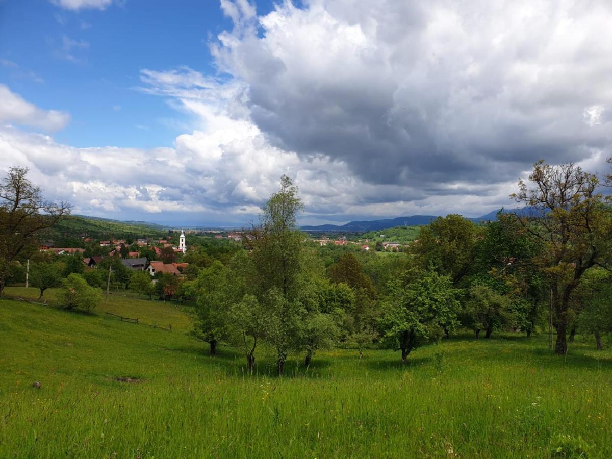 Pensiunea Padina Bran  Zewnętrze zdjęcie