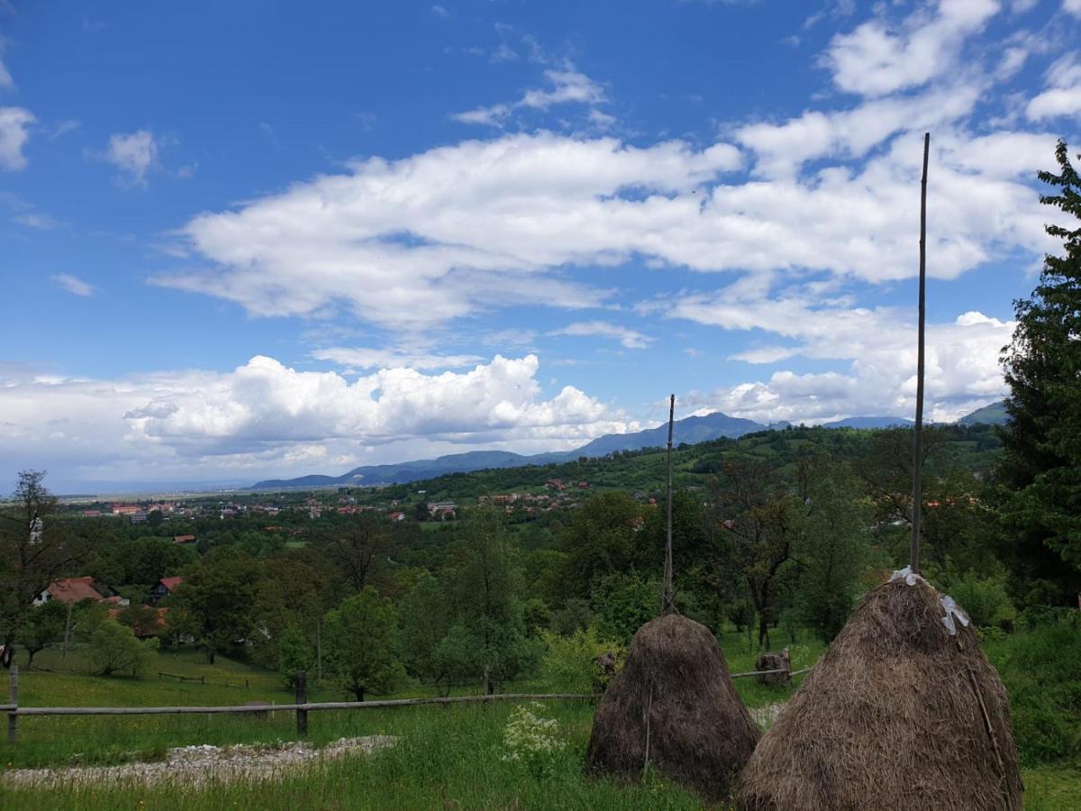 Pensiunea Padina Bran  Zewnętrze zdjęcie